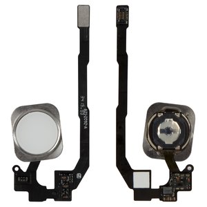 Flat Cable compatible with iPhone 5S, iPhone SE, Home button, white, with plastic 