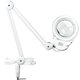 Magnifying Lamp 8066D2-4C, 8 Diopters